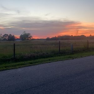 Meet your Posher, Amalia